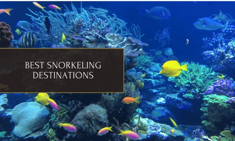 Best Snorkeling Destinations – Cancun, St.John, Aruba & More