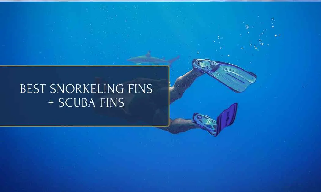 Best snorkeling fins & best scuba fins