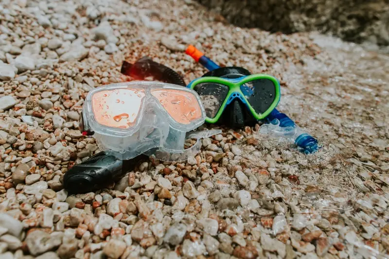 Selection of snorkeling masks arranged for comparison
